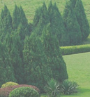 免费ddos压力测试平台