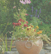 怎么去攻击一个网站与防护